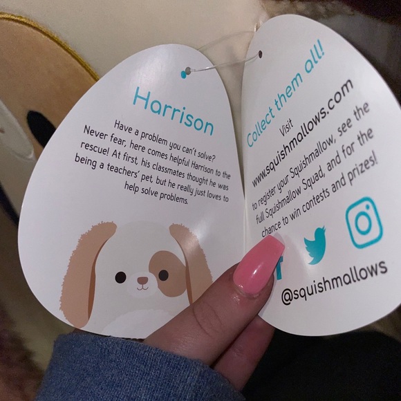 Harrison The Dog Squishmallow Nwt 